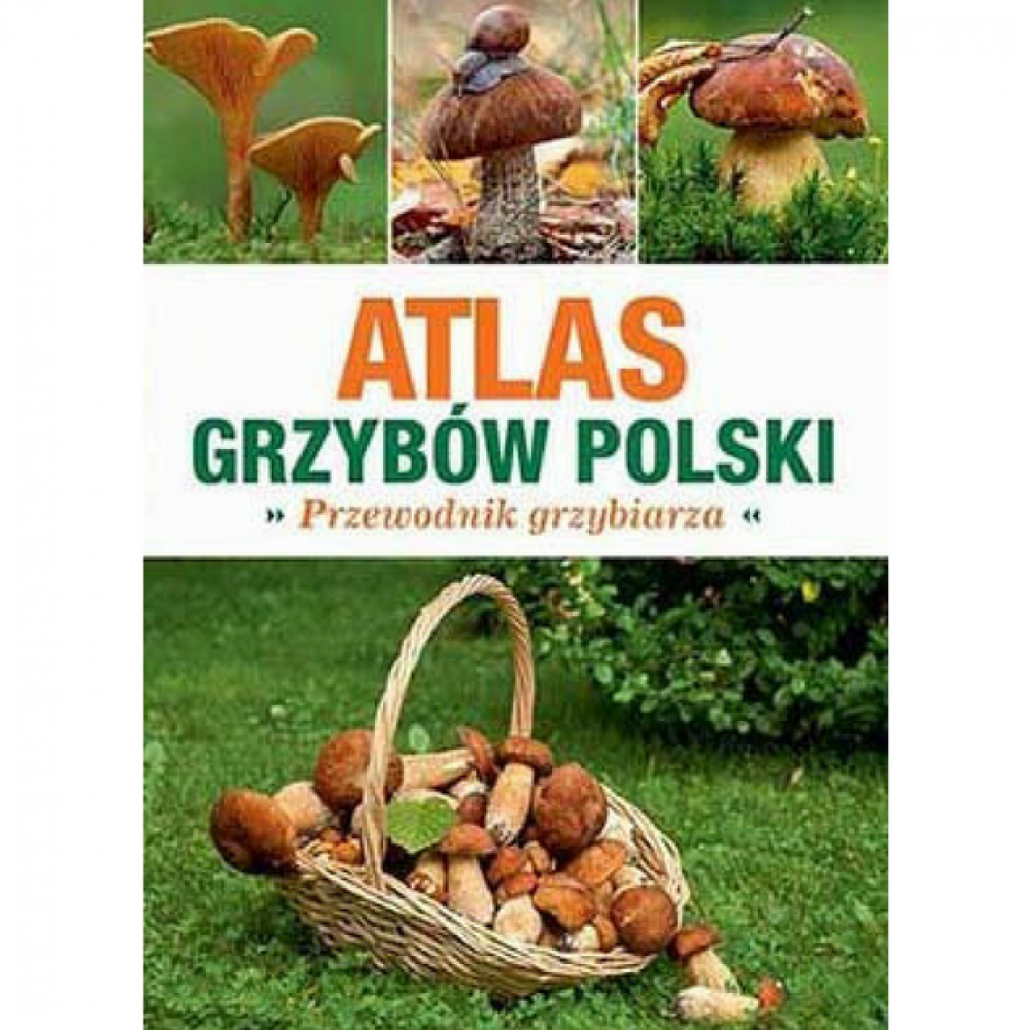 atlas grzybów poradnik grzybiarza